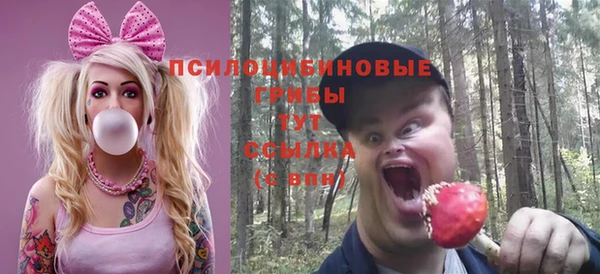 дживик Дмитров