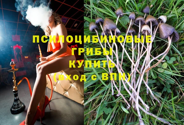 дживик Дмитров