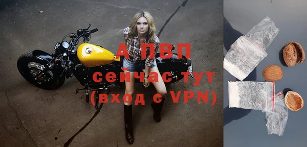 дживик Дмитров